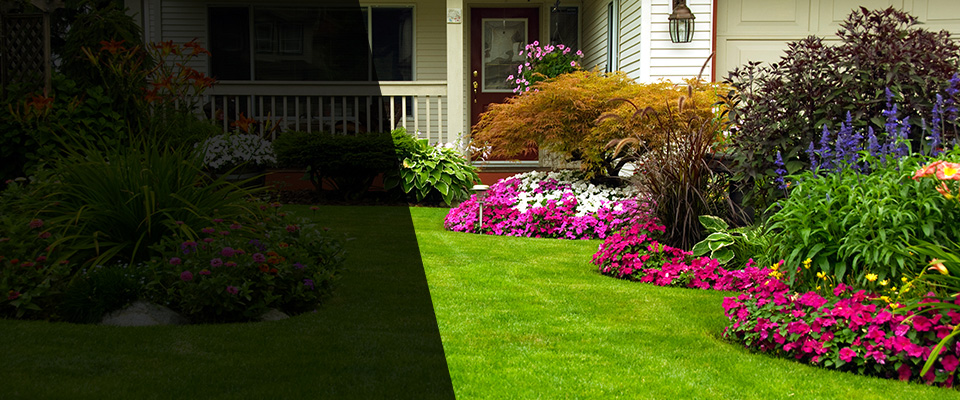 Colville Landscapers
