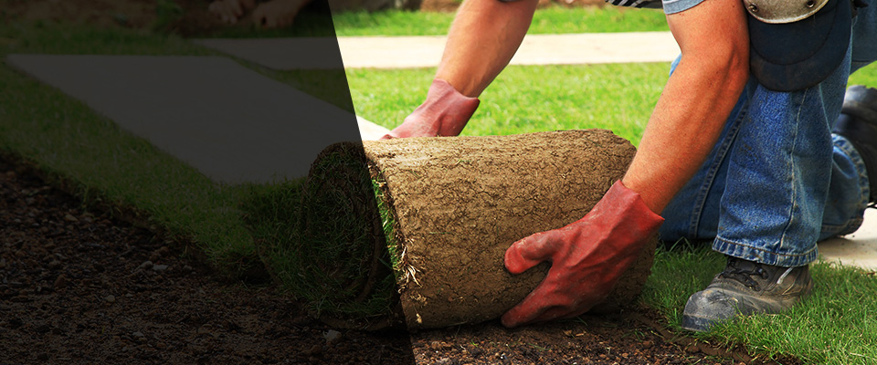 Colville Landscapers